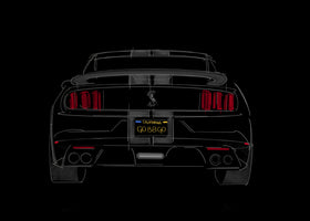 Go Baby Go! Shelby GT350 (Front & Rear Fascia) Hoodie